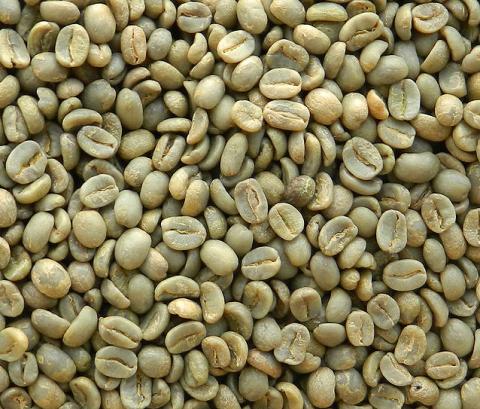 Haitian Green Coffee Beans